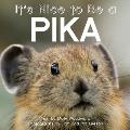 It's Nice to Be a Pika
