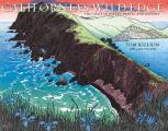 Californias Wild Edge The Coast in Prints Poetry & History