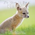 Its Nice to Be a Kit Fox