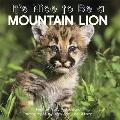 Its Nice to Be a Mountain Lion
