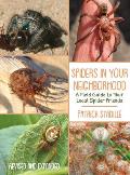 Spiders in Your Neighborhood A Field Guide to Your Local Spider Friends Revised & Expanded