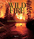 Wildfire A Century of Failed Forest Policy