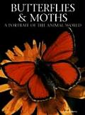Butterflies & Moths: A Portrait of the Animal World (Portrait of the Animal World)