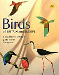 Birds Of Britain & Europe