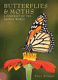 Butterflies & Moths A Portrait of the Animal World