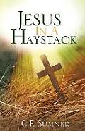 Jesus In A Haystack
