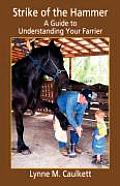 Strike of the Hammer A Guide to Understanding Your Farrier