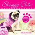 Shaggy Chic Fetching Makeovers for Any Dog
