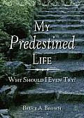 My Predestined Life: Why Should I Even Try?