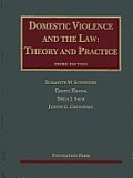 Domestic Violence & the Law 3D