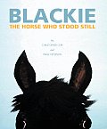 Blackie The Horse That Stood Still