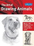 Art Of Drawing Animals