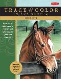 Horses Trace line art onto paper or canvas & color or paint your own masterpieces