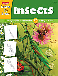 Insects Step By Step Instructions for 26 Creepy Crawlies