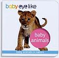 Baby Eyelike Baby Animals Baby Animals in the Natural World