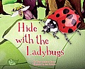 Hide with the Ladybugs