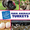 Farm Animals: Turkey