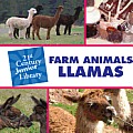 Farm Animals: Llama