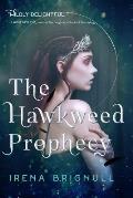 Hawkweed Prophecy