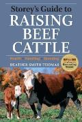Storeys Guide To Raising Beef Cattle