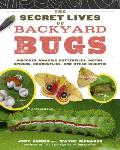 Secret Lives of Backyard Bugs Discover Amazing Butterflies Moths Spiders Dragonflies & Other Insects