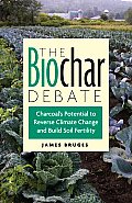 Biochar Debate Charcoals Potential to Reverse Climate Change & Build Soil Fertility