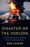Disaster on the Horizon The Deepwater Well Blowout What Happened & Why