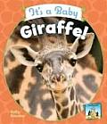 It's a Baby Giraffe!