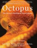 Octopus The Oceans Intelligent Invertebrate