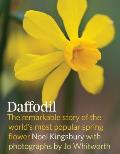 Daffodil Discover the Remarkable Story of the Worlds Most Popular Spring Flower