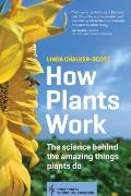 How Plants Work The Science Behind the Amazing Things Plants Do