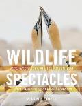 Wildlife Spectacles Mass Migrations Mating Rituals & Other Fascinating Animal Behaviors