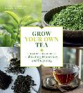 Grow Your Own Tea The Complete Guide to Cultivating Harvesting & Preparing