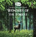 Wonders of the Forest Secrets of the Wild Woods