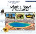 What I Saw in Yellowstone A Kids Guide to the National Park