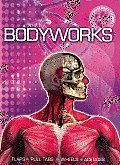 Interactive Explorer Bodyworks