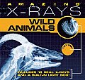 Amazing X rays Wild Animals