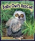 Baby Owls Rescue