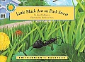 Little Black Ant on Park Street Smithsonians Backyard