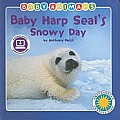 Baby Harp Seals Snowy Day