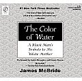 Color of Water A Black Mans Tribute to His White Mother
