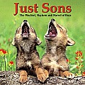 Just Sons The Mischief Mayhem & Marvel of Boys