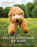 Secret Language of Dogs Unlocking the Canine Mind for a Happier Pet