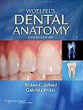 Woelfel's Dental Anatomy [With Access Code]
