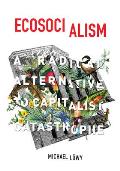 Ecosocialism A Radical Alternative to Capitalist Catastrophe