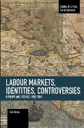 Labour Markets, Identities, Controversies: Reviews and Essays, 1982-2016