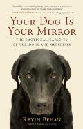 Your Dog Is Your Mirror The Emotional Capacity of Our Dogs & Ourselves