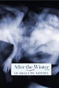 After the Winter A Novel