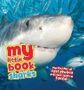 My Little Book Of Sharks