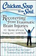 Chicken Soup for the Soul Recovering from Traumatic Brain Injuries 101 Stories of Hope Healing & Hard Work